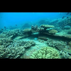 Meet your Posher, Jane